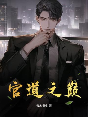 官道之巅 青木书生