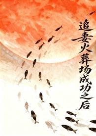 追妻火葬场最后he的