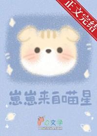 崽崽起源制作