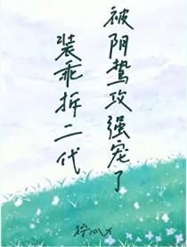 装乖主角