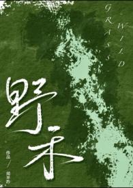 伪兄妹推荐知乎