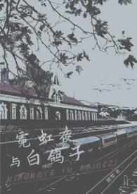 白夜霓虹再贩