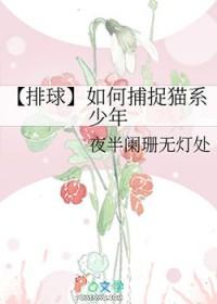猫又排球少年