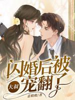 闪婚大叔