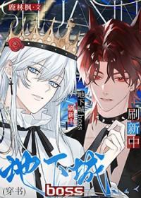 dnfboss攻略