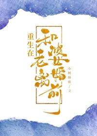 重生回到和前夫离婚前