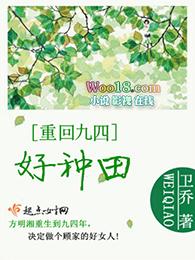 重生九四空间种田