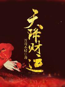 天降财运手打无错字版