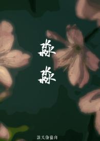 淼淼熊猫