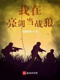 我在亮剑当战狼 第330章