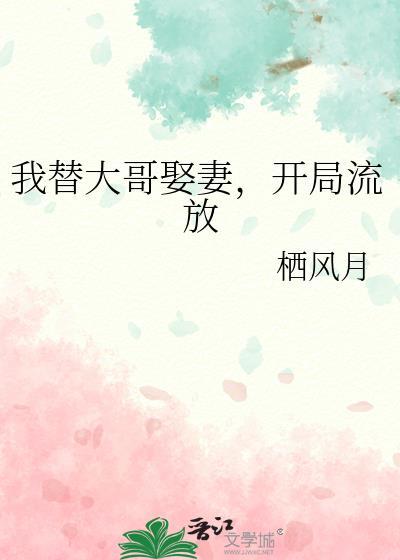 我大哥替宋王把功尽了