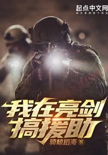 我在亮剑搞援助全文阅读
