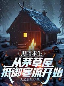 黑暗求生从茅草屋抵御寒流开始第116