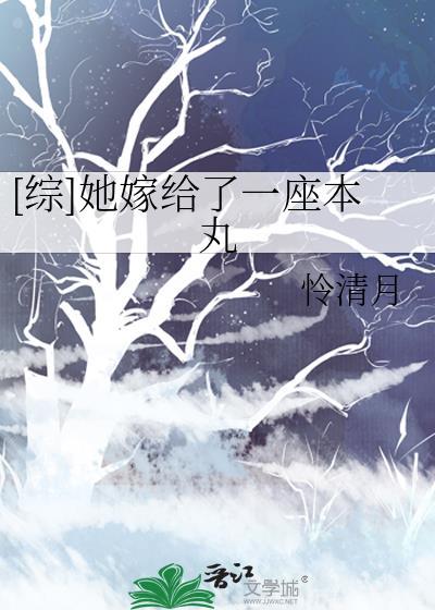综她嫁给了一座本丸27