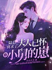 贺律师又沦陷了243章
