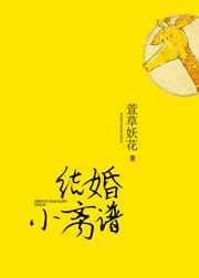 结婚小离谱txt番外