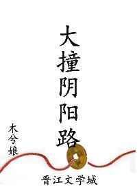 大撞阴阳路简介