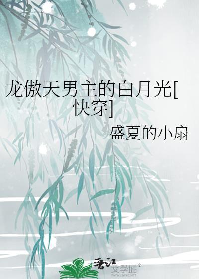 男主龙傲天的言情