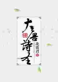 大唐诗圣 豆瓣