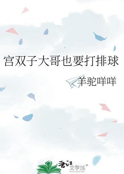 宫双子打架
