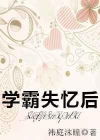 学霸失忆后番外资源