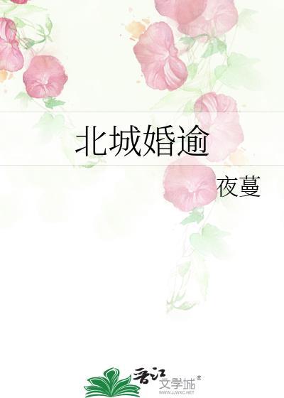 北城婚逾夜蔓免费阅读