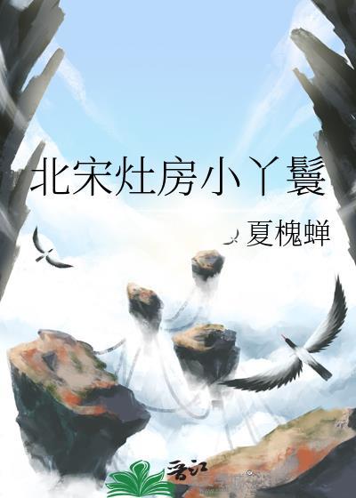北宋灶房小丫鬟夏