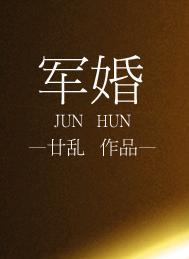 军婚高干甜宠文
