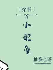 穿书小配角之将军夫人百度