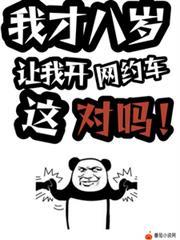 让我开网约车这对吗?